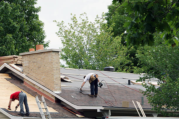 Best Roof Gutter Cleaning  in Eureka Springs, AR